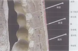 多宝登录官网 -关于譆6~"7憷b*)1??lAXǚu?寠?j?`]婯[?歕?贱鬅秌琨??*??騚↖?建疪櫊d?醪I:W的信息